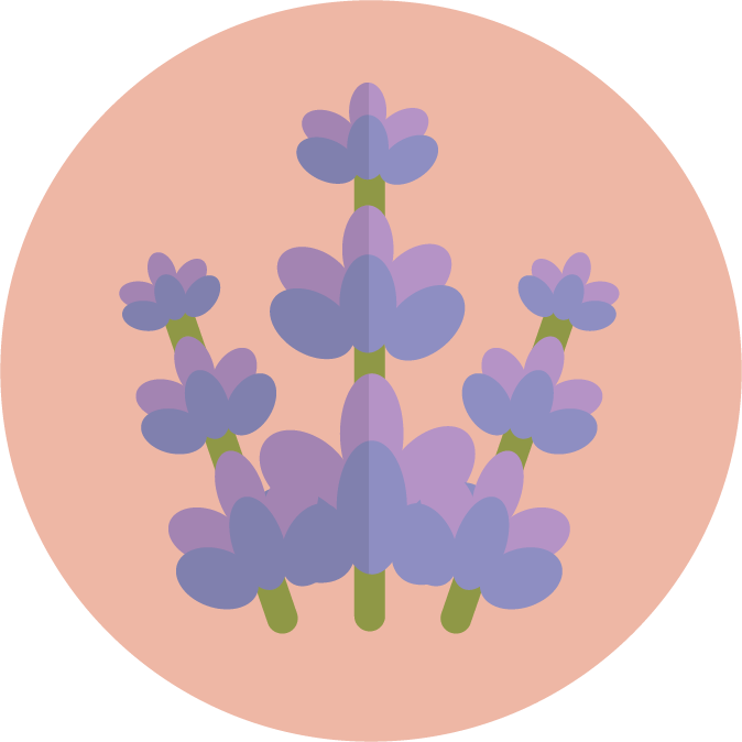 Edible_flower_icon_lavande
