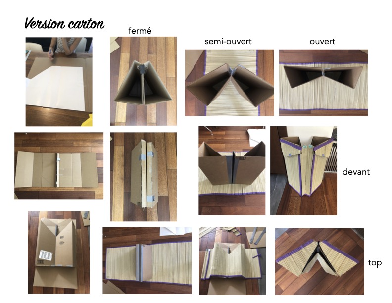 Packaging_flutterby_carboard_big