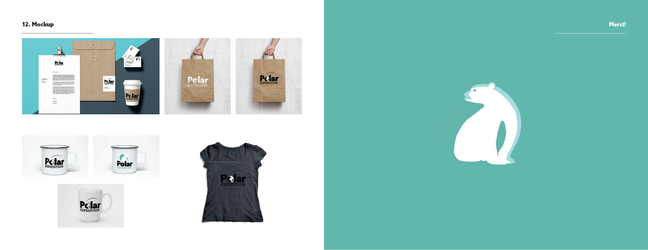 Polar_expedition_guidelines_mockups