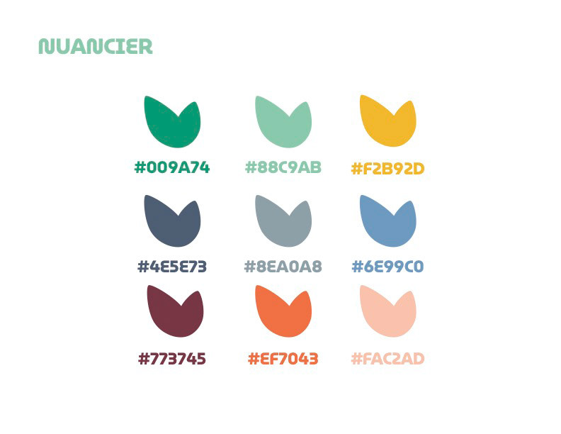 Pousse_magique_colors